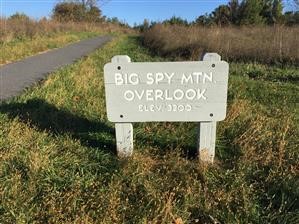 Anti Spy Cell Phone